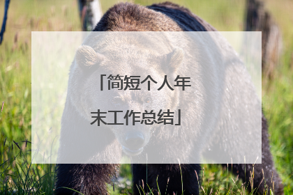简短个人年末工作总结
