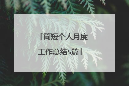 简短个人月度工作总结5篇