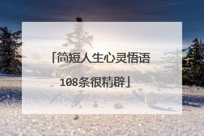 简短人生心灵悟语108条很精辟