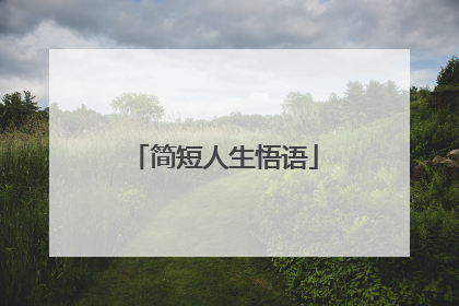 简短人生悟语