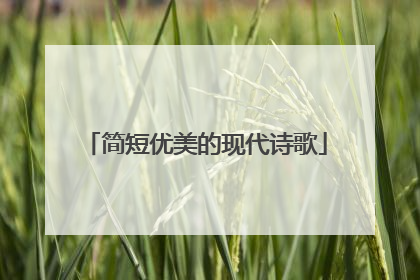 简短优美的现代诗歌