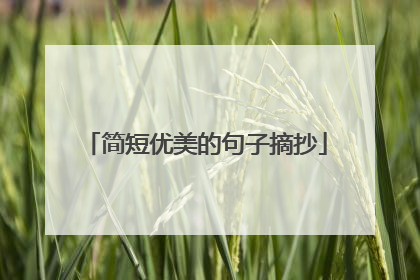 简短优美的句子摘抄