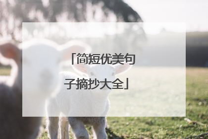 简短优美句子摘抄大全