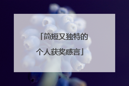 简短又独特的个人获奖感言