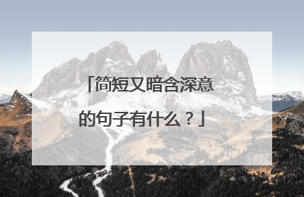 简短又暗含深意的句子有什么？