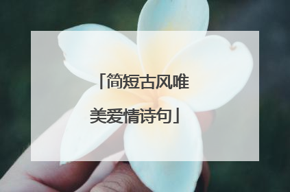 简短古风唯美爱情诗句