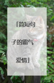 简短句子的霸气爱情