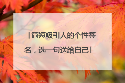 简短吸引人的个性签名,选一句送给自己