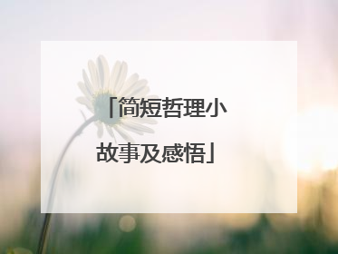 简短哲理小故事及感悟