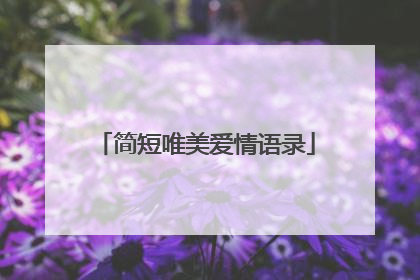 简短唯美爱情语录