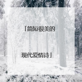 简短很美的现代爱情诗