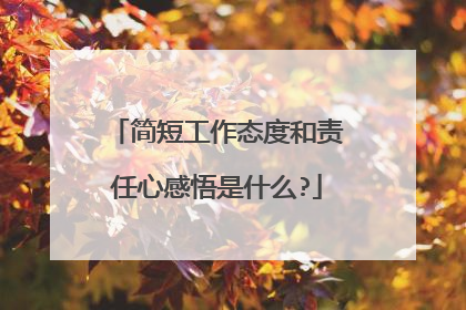 简短工作态度和责任心感悟是什么?