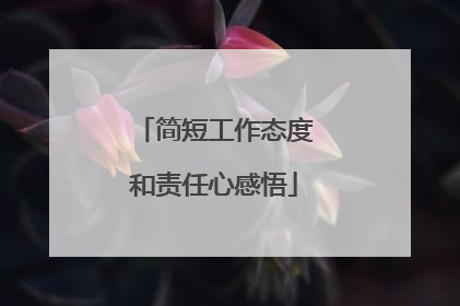 简短工作态度和责任心感悟