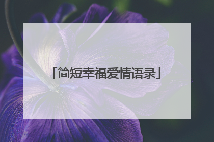 简短幸福爱情语录