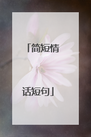 简短情话短句