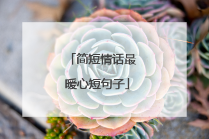 简短情话最暖心短句子