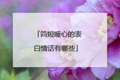 简短暖心的表白情话有哪些