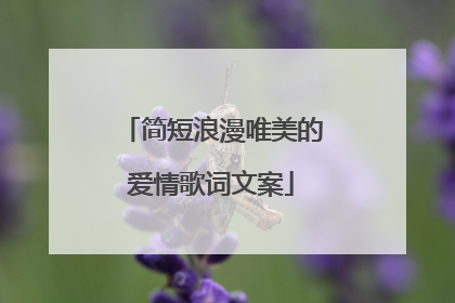 简短浪漫唯美的爱情歌词文案
