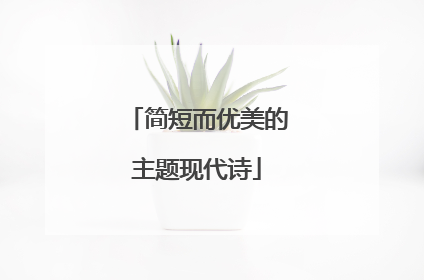 简短而优美的主题现代诗