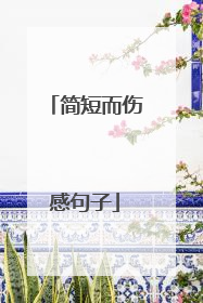 简短而伤感句子