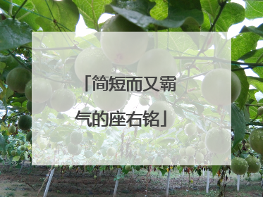 简短而又霸气的座右铭