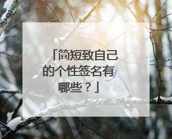 简短致自己的个性签名有哪些?