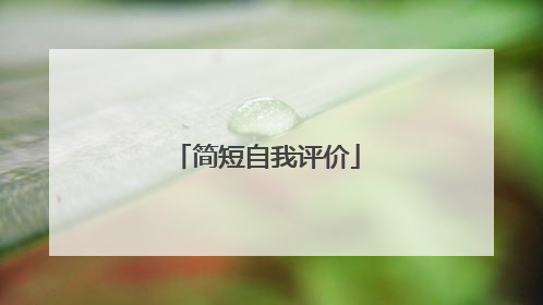 简短自我评价