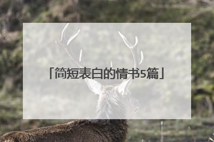 简短表白的情书5篇