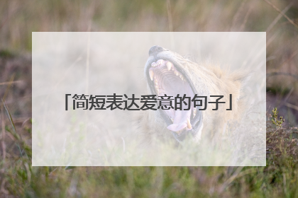 简短表达爱意的句子
