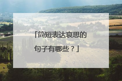 简短表达哀思的句子有哪些？
