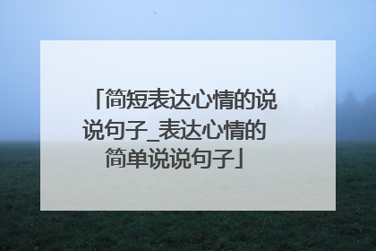 简短表达心情的说说句子_表达心情的简单说说句子