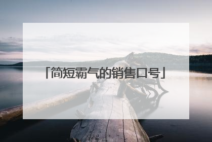 简短霸气的销售口号