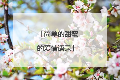 简单的甜蜜的爱情语录