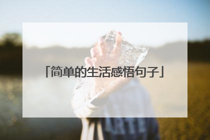 简单的生活感悟句子