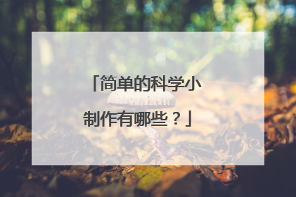简单的科学小制作有哪些?