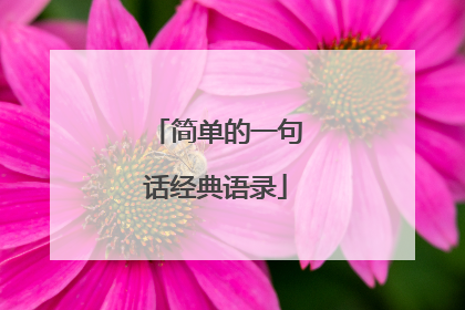 简单的一句话经典语录