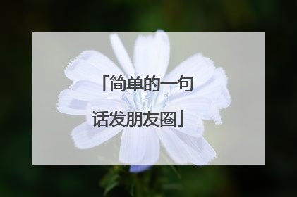 简单的一句话发朋友圈