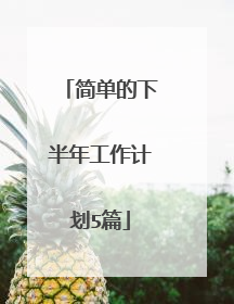 简单的下半年工作计划5篇
