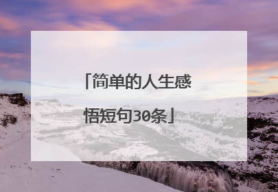 简单的人生感悟短句30条