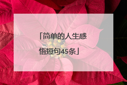 简单的人生感悟短句45条