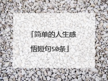 简单的人生感悟短句50条