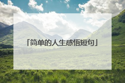 简单的人生感悟短句