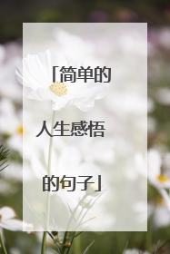 简单的人生感悟的句子