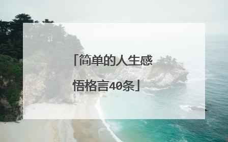 简单的人生感悟格言40条