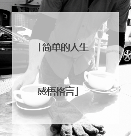 简单的人生感悟格言