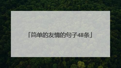 简单的友情的句子48条