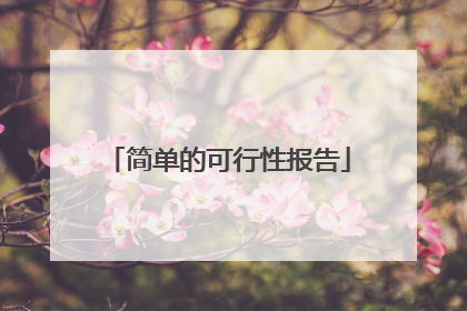 简单的可行性报告