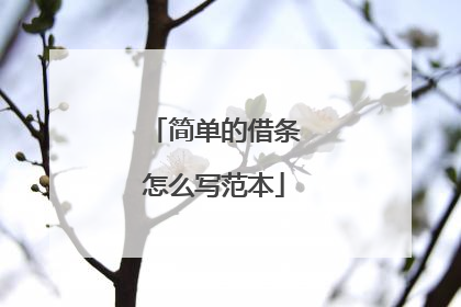 简单的借条怎么写范本