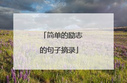 简单的励志的句子摘录