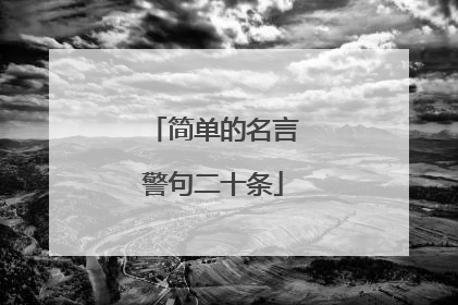 简单的名言警句二十条